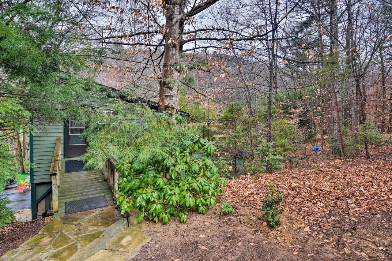 Appalachian Mountain Retreat 6 Mi To Asheville! Екстер'єр фото