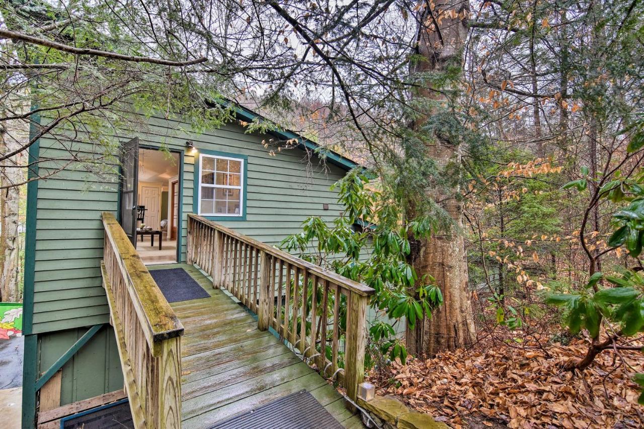 Appalachian Mountain Retreat 6 Mi To Asheville! Екстер'єр фото
